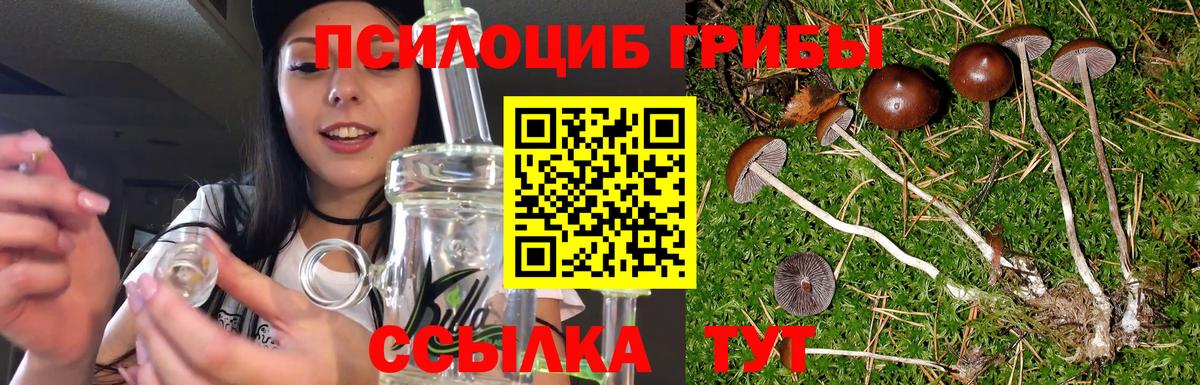 Псилоцибиновые грибы MAGIC MUSHROOMS Карталы